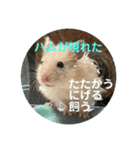 谷川家のとら夫さん2（ハムスター）（個別スタンプ：11）