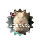 谷川家のとら夫さん2（ハムスター）（個別スタンプ：12）