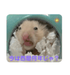 谷川家のとら夫さん2（ハムスター）（個別スタンプ：19）