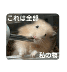 谷川家のとら夫さん2（ハムスター）（個別スタンプ：27）