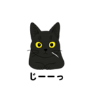 黒猫兄弟ココピー②（個別スタンプ：1）