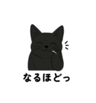 黒猫兄弟ココピー②（個別スタンプ：3）