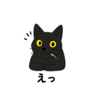 黒猫兄弟ココピー②（個別スタンプ：6）
