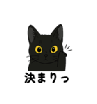 黒猫兄弟ココピー②（個別スタンプ：8）