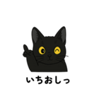 黒猫兄弟ココピー②（個別スタンプ：9）