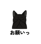 黒猫兄弟ココピー②（個別スタンプ：11）