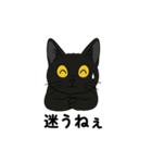 黒猫兄弟ココピー②（個別スタンプ：12）