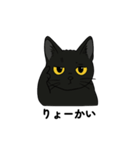 黒猫兄弟ココピー②（個別スタンプ：13）
