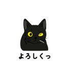 黒猫兄弟ココピー②（個別スタンプ：15）