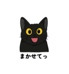 黒猫兄弟ココピー②（個別スタンプ：16）