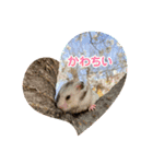 ハム＆ごま（個別スタンプ：4）