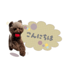 わんぱくルーの毎日スタンプ（個別スタンプ：2）