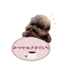わんぱくルーの毎日スタンプ（個別スタンプ：3）