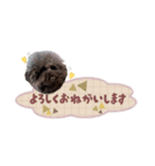 わんぱくルーの毎日スタンプ（個別スタンプ：9）