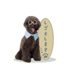 わんぱくルーの毎日スタンプ（個別スタンプ：12）