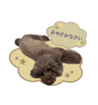 わんぱくルーの毎日スタンプ（個別スタンプ：16）