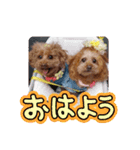 ni-na ④（個別スタンプ：1）
