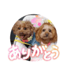 ni-na ④（個別スタンプ：2）