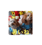ni-na ④（個別スタンプ：4）