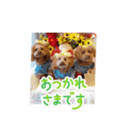 ni-na ④（個別スタンプ：5）
