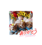 ni-na ④（個別スタンプ：6）