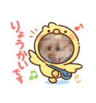 ni-na ④（個別スタンプ：9）