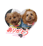 ni-na ④（個別スタンプ：14）