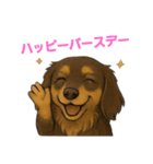 チワックスのまるくんスタンプ（個別スタンプ：21）