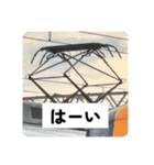 鉄道パンタグラフスタンプ第3弾（個別スタンプ：5）