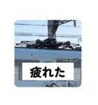 鉄道パンタグラフスタンプ第3弾（個別スタンプ：6）