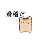 ぱんきゃっと（個別スタンプ：5）