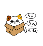 ねこ依存毎日挨拶（個別スタンプ：11）