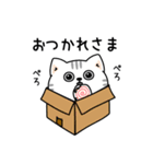 ねこ依存毎日挨拶（個別スタンプ：12）