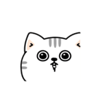 ねこ依存毎日挨拶（個別スタンプ：21）