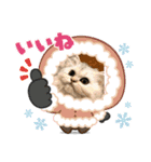 いやしのニャンコⅦ（個別スタンプ：2）