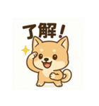 豆柴ちゃんの日常スタンプ（個別スタンプ：3）