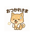 豆柴ちゃんの日常スタンプ（個別スタンプ：4）
