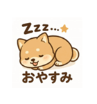 豆柴ちゃんの日常スタンプ（個別スタンプ：11）