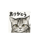猫（アメリカンショートヘアー）水墨画風（個別スタンプ：2）