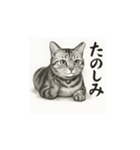 猫（アメリカンショートヘアー）水墨画風（個別スタンプ：12）