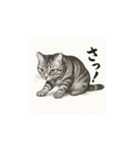 猫（アメリカンショートヘアー）水墨画風（個別スタンプ：13）