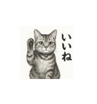 猫（アメリカンショートヘアー）水墨画風（個別スタンプ：14）