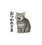 猫（アメリカンショートヘアー）水墨画風（個別スタンプ：15）