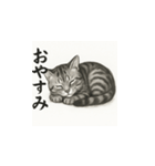 猫（アメリカンショートヘアー）水墨画風（個別スタンプ：16）