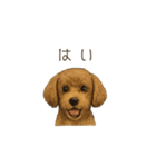 ほんのりリアルな犬の気持ち（個別スタンプ：3）