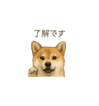 ほんのりリアルな犬の気持ち（個別スタンプ：6）