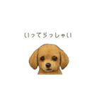 ほんのりリアルな犬の気持ち（個別スタンプ：8）