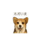 ほんのりリアルな犬の気持ち（個別スタンプ：9）