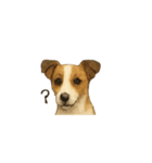 ほんのりリアルな犬の気持ち（個別スタンプ：14）