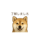 ほんのりリアルな犬の気持ち（個別スタンプ：15）
